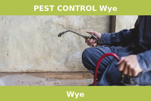 PEST CONTROL Wye